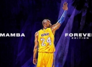 开云体育下载-从绿茵场到篮球馆，德国足球的坚韧翻盘与恩佐·费尔南德斯的生涯之夜