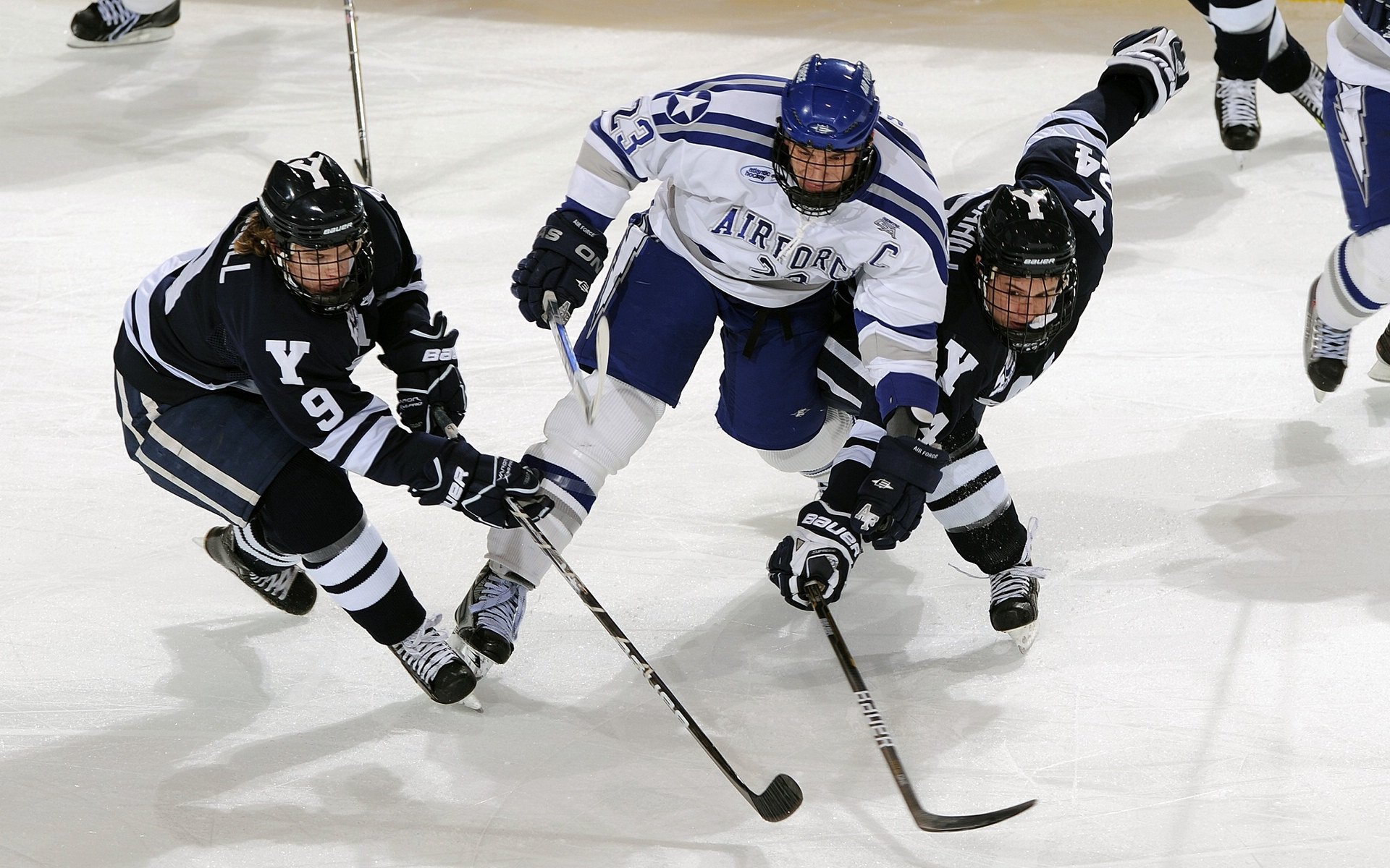黄鸭组合火力全开,法国队战术完胜德国队书写新篇章